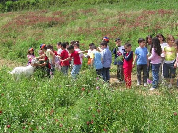 Azienda Agricola Terre di Vasia - foto 14907.jpg