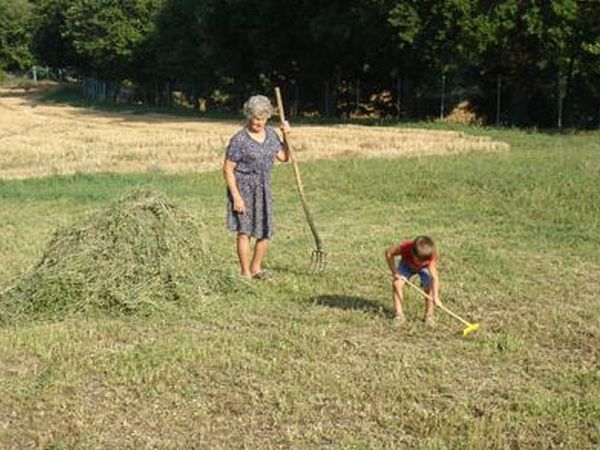 Azienda Agricola Faggeto - foto 15019.jpg