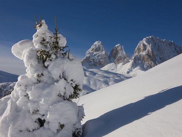 Alpen Hotel Panorama - foto 15155.jpg