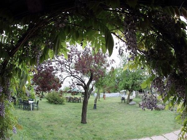 Agriturismo La Pace - foto 15328.jpg