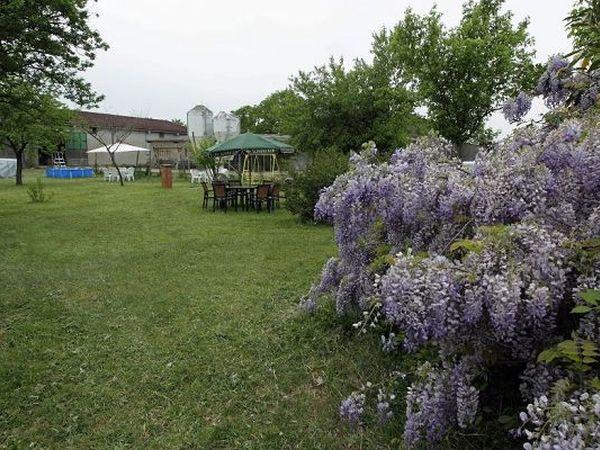 Agriturismo La Pace - foto 15329.jpg