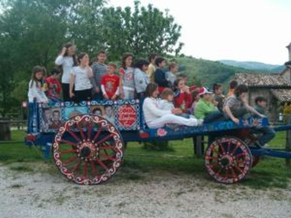 Agriturismo Biologico Pieve del Colle - Fattoria Didattica - foto 15542.jpg