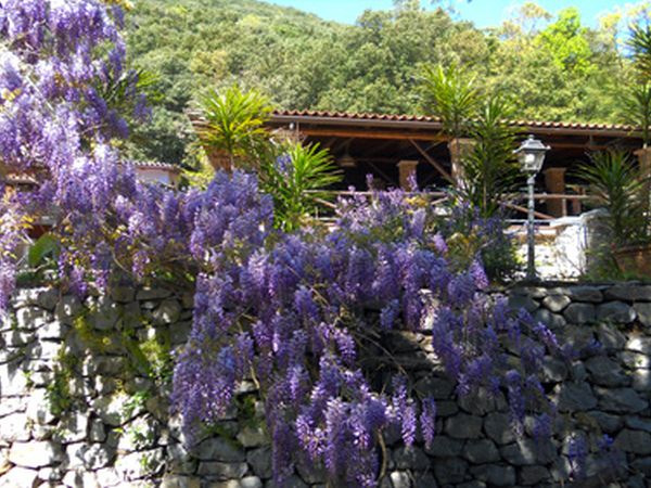 La Francesca Scario Residence - foto 15653.jpg