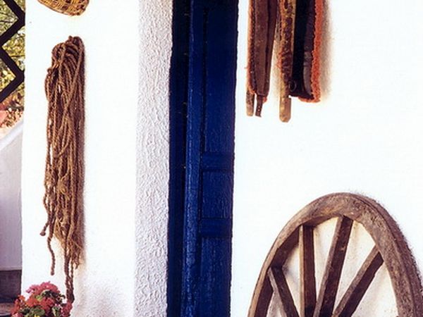 Azienda Agrituristica Duca di Castelmonte - foto 15680.jpg