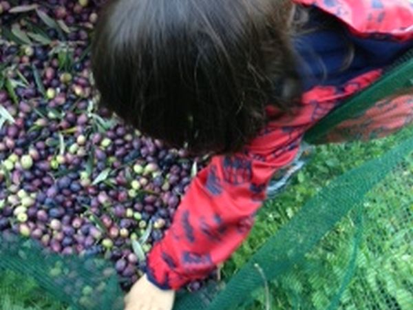 Agriturismo Calagrana - foto 15838.jpg