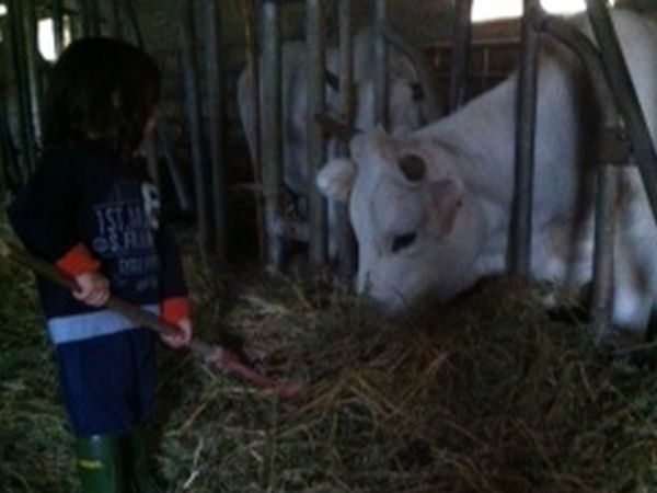 Agriturismo Calagrana - foto 15842.jpg