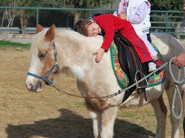 Agriturismo Al Poggetto - foto 16025.jpg