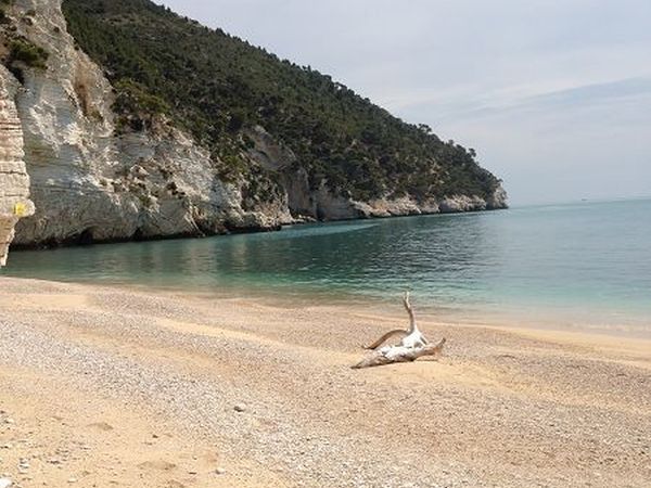 Case Vacanze LUliveto - foto 16149.jpg