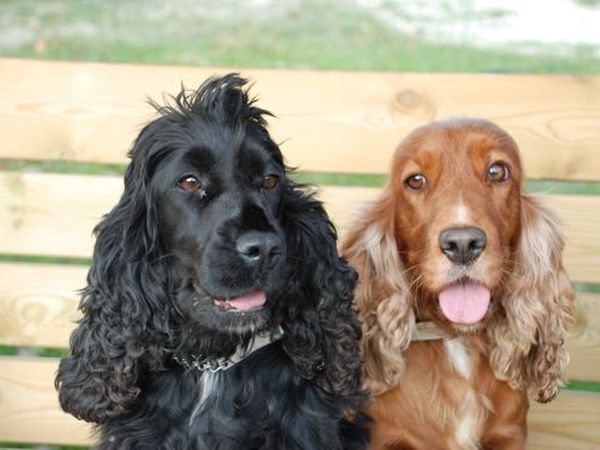 Agriturismo La Grotta dei Folletti - foto 3746.jpg