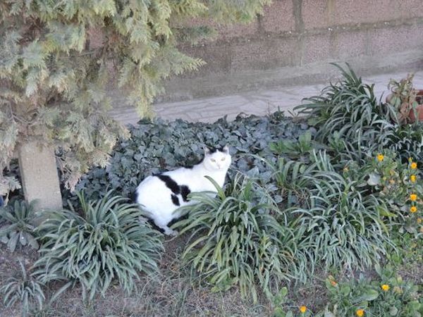 Casa Vacanze Santa Caterina - foto 16233.jpg