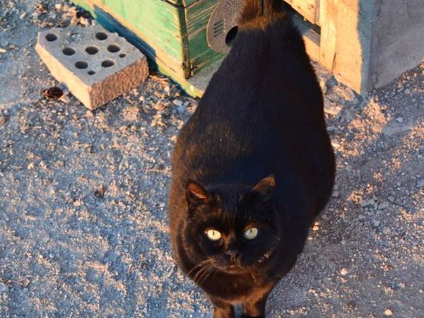 Casa Vacanze Santa Caterina - foto 16234.jpg