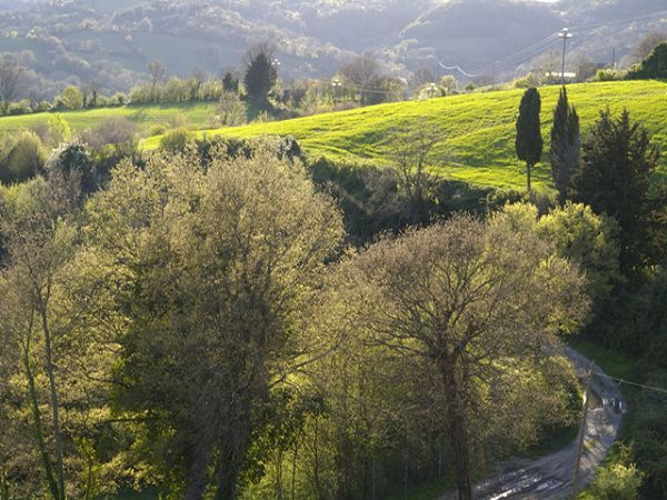 Casale di Poggioferro - foto 16312.jpg