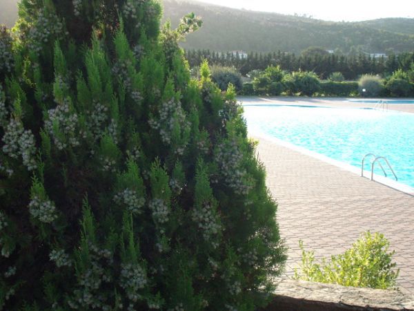 La Piana di Calena - foto 16512.jpg