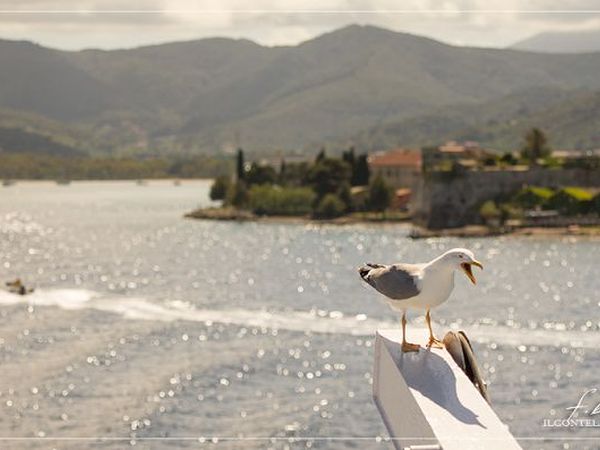 Residence il Mandorlo RTA - foto 16555.jpg