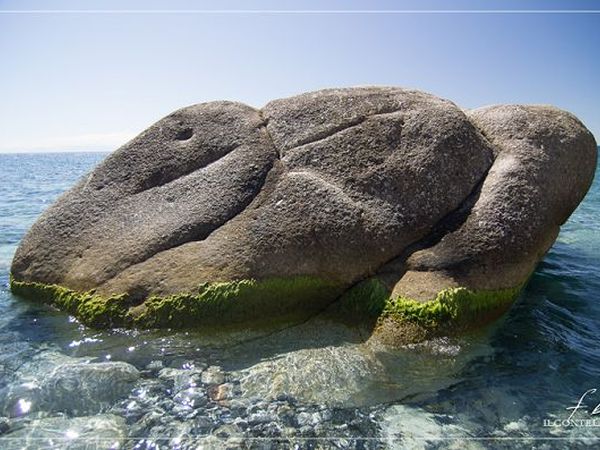 Residence il Mandorlo RTA - foto 16561.jpg