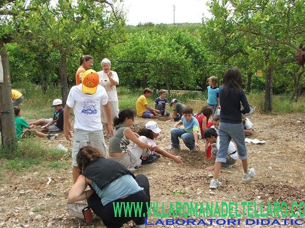 Fattoria didattica Villa del Tellaro - foto 16576.jpg