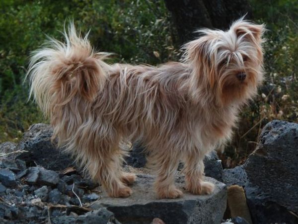 Ecoparco Neul - foto 16749.jpg