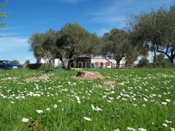 Ecoparco Neul - foto 16750.jpg