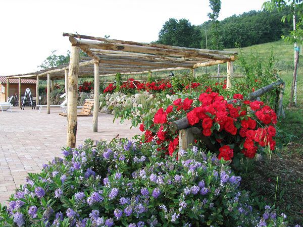 Agriturismo S. Caterina - foto 16952.jpg