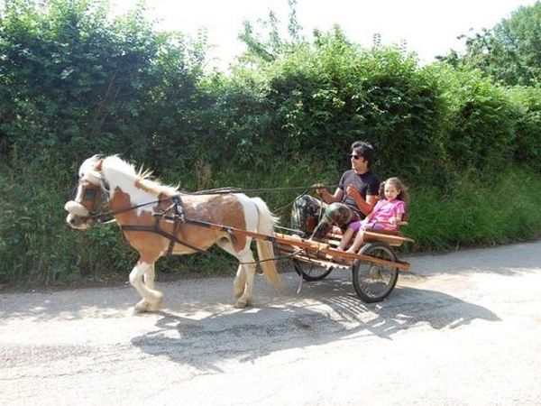 Agriturismo S. Caterina - foto 16954.jpg