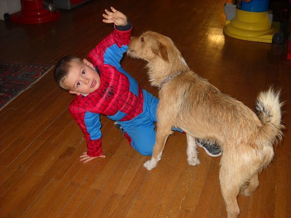 Hotel Mondol - foto 17021.jpg