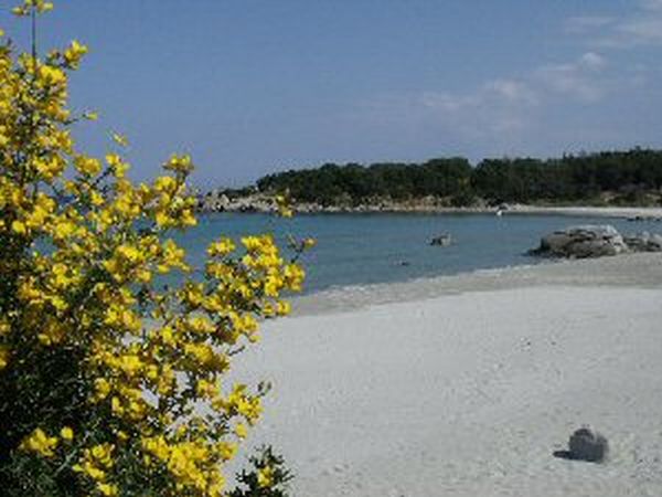 Casa Vacanze Tortol - foto 17048.jpg