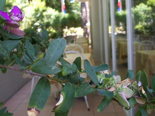 Hotel Sylvia - foto 17067.jpg