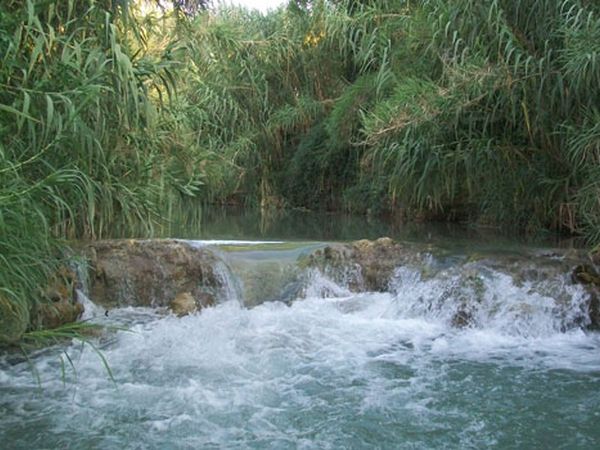 Agriturismo La Vecchia Quercia  - foto 17120.jpg