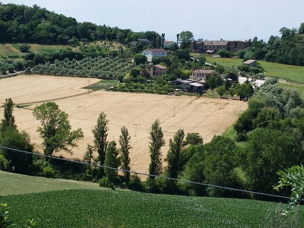 AGRITURISMO IL RUSTICO - foto 17292.jpg