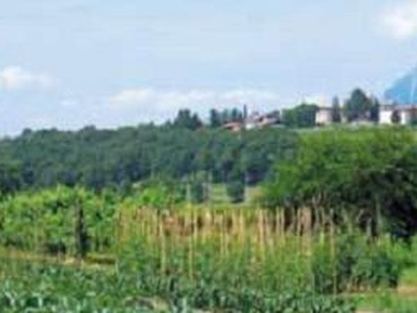 Agriturismo Borgo Floreani - foto 17541.jpg