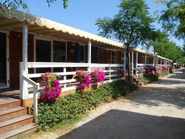 Camping La Mimosa - foto 17569.jpg