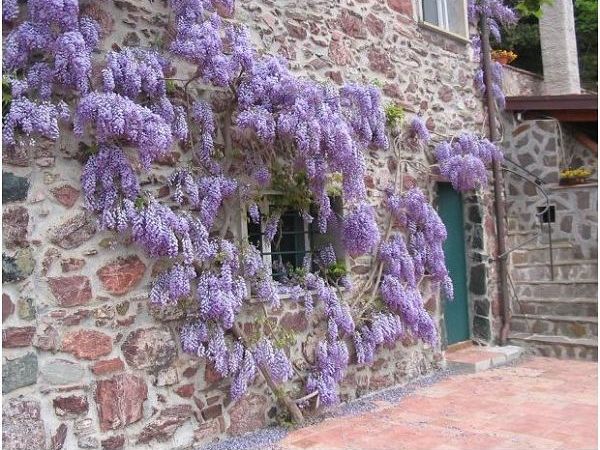 Le Sorgenti del Gromolo - foto 18002.jpg