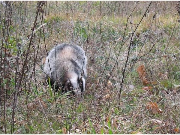 Le Sorgenti del Gromolo - foto 18003.jpg