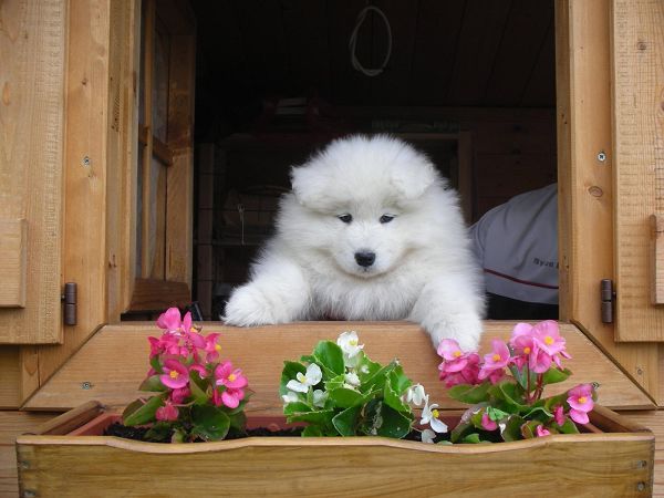 Garni Villa Lory - foto 18035.jpg