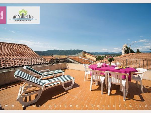 Il Colletto Azienda Agrituristica - foto 18873.jpg