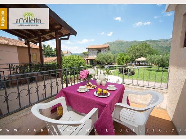 Il Colletto Azienda Agrituristica - foto 18874.jpg