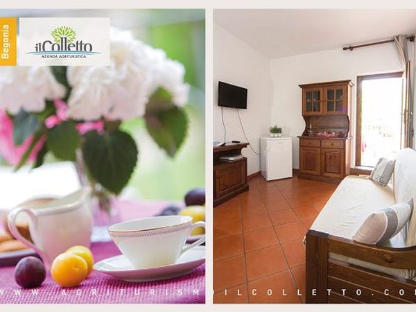 Il Colletto Azienda Agrituristica - foto 18875.jpg