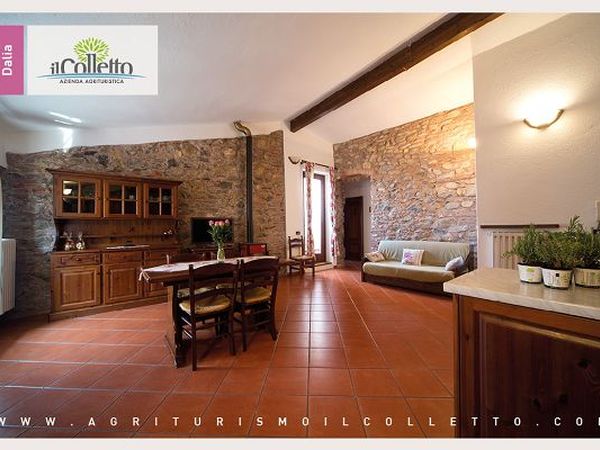 Il Colletto Azienda Agrituristica - foto 18877.jpg