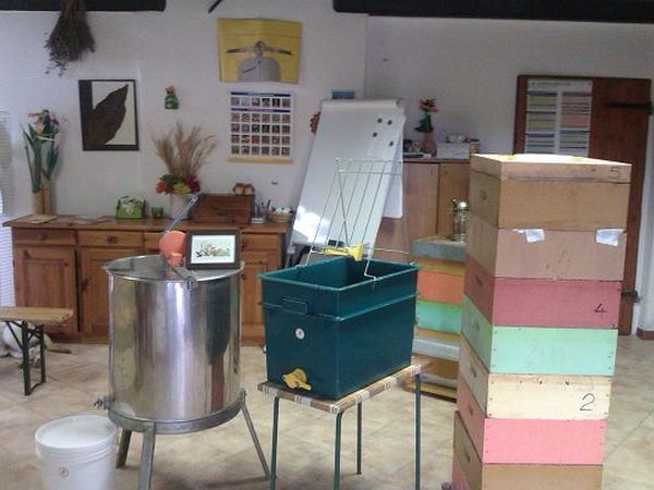 La Fattoria di Mielisa - foto 18954.jpg