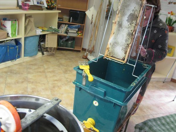 La Fattoria di Mielisa - foto 18955.jpg