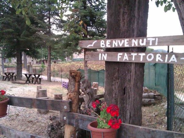 La Fattoria di Mielisa - foto 18956.jpg
