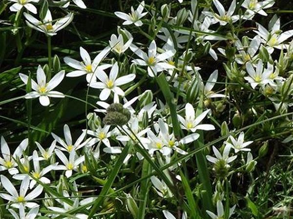 Hotel Felycita - foto 19086.jpg