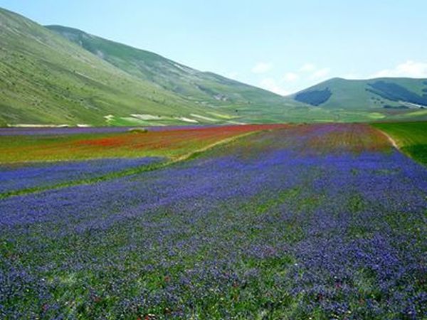 Hotel Felycita - foto 19090.jpg