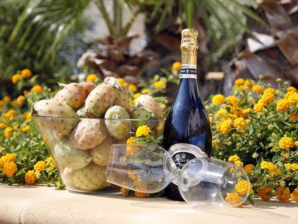 MCN VACANZE  Mare Cultura Natura - foto 19122.jpg