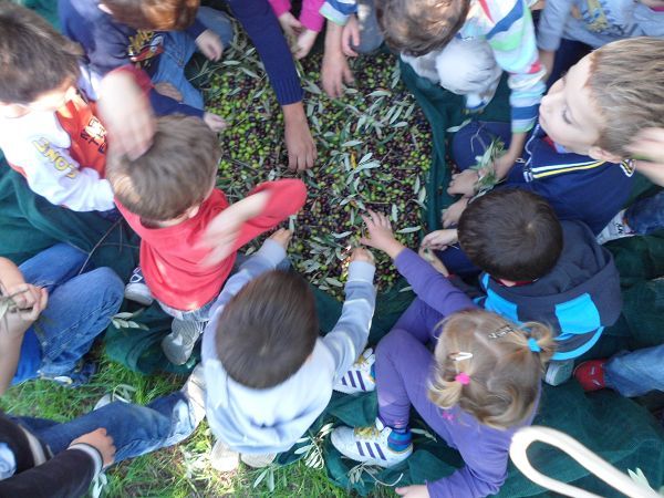 Agriturismo il Giardino - foto 19401.jpg