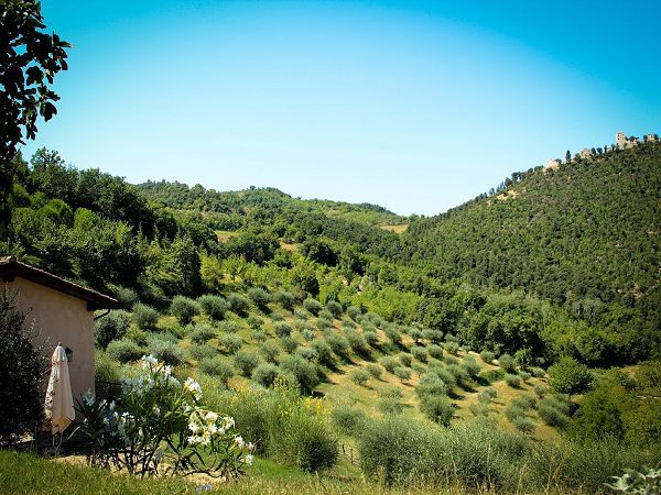 Agriturismo La Fonte - foto 19487.jpg