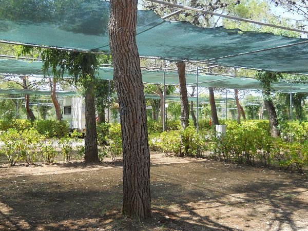 Grotta dellAcqua - foto 19525.jpg