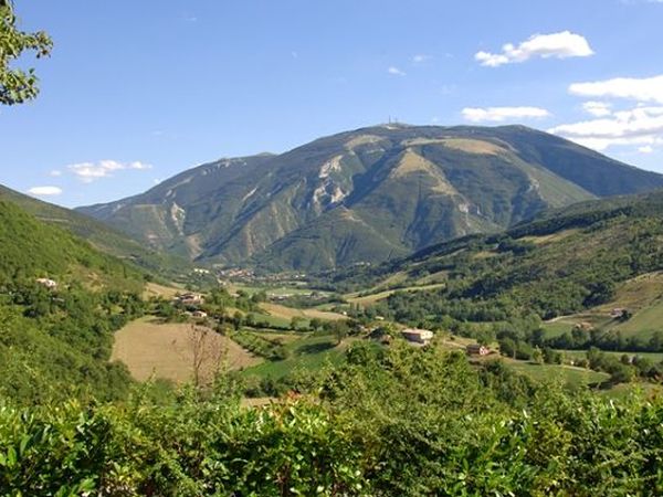 Agriturismo Ca Licozzo - foto 19574.jpg