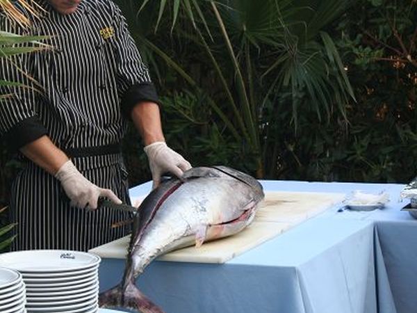 Hotel Caravelle - foto 19624.jpg