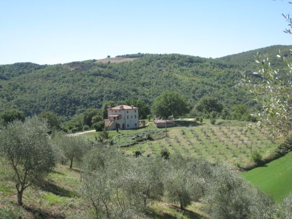 WelcomeService - foto 19882.jpg